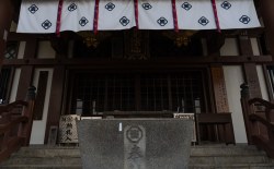 DSC00738