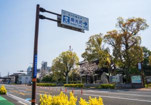 SBJ05559