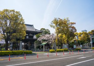 SBJ05564