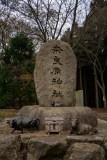 DSC02984