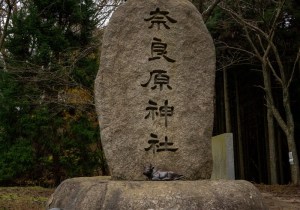 DSC02984