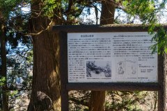 DSC03570