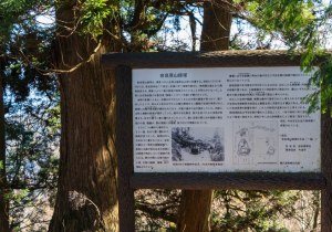 DSC03570