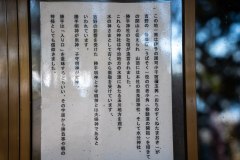 DSC03575