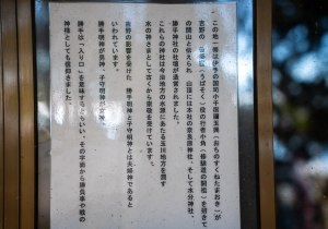 DSC03575