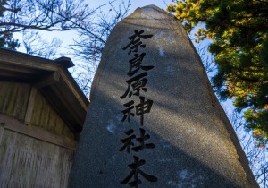 DSC03608