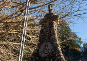 SBJ05309