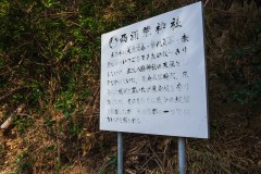 DSC01334