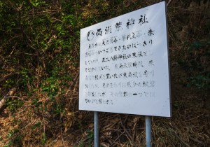 DSC01334