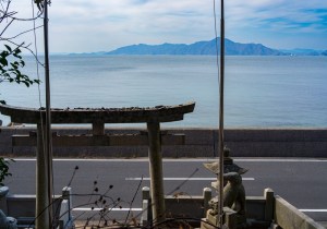 DSC01376