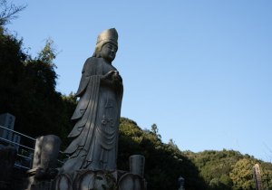 DSC00748