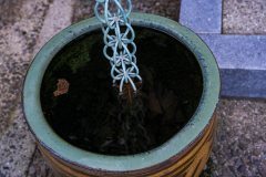 DSC00766