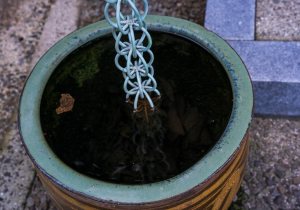 DSC00766