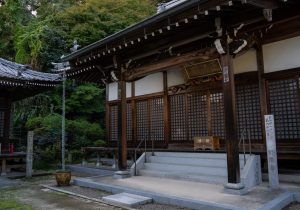DSC00768