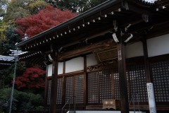 DSC04920