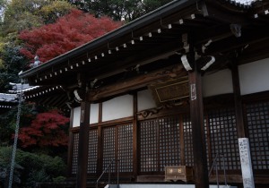 DSC04920