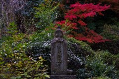 DSC04921