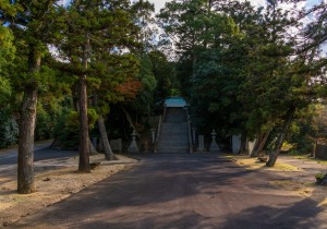 DSC04955
