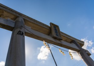 DSC09574