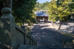 DSC09590