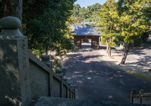DSC09590