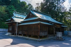 DSC09594