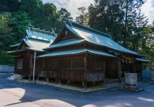 DSC09594