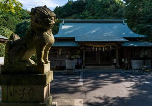 DSC09621