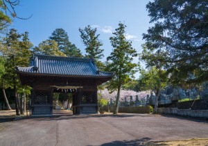 SBJ06339
