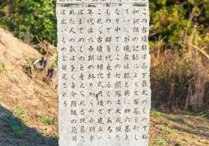 SBJ02318