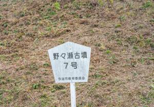 SBJ02345