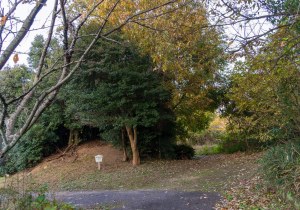 SBJ02414