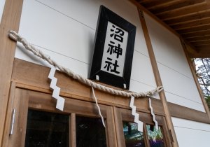 DSC01697