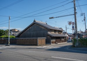SBJ03036