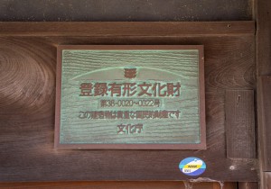 SBJ03086