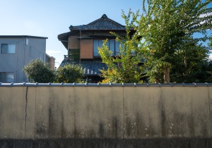 SBJ03103