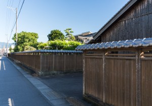 SBJ03120