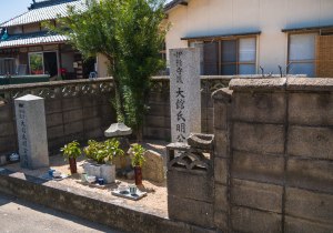 SBJ09617