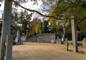 SBJ05519