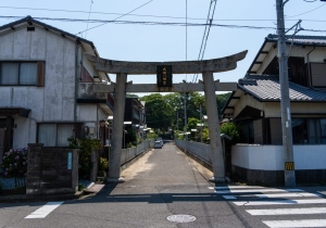 SBJ06039