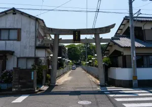 SBJ06039