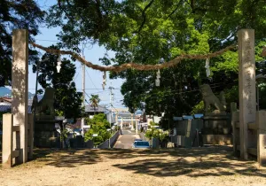 SBJ06070