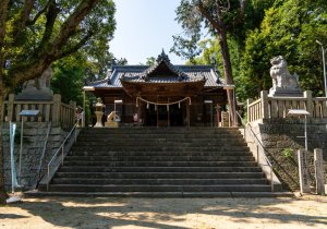 SBJ06080
