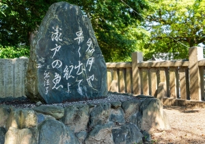 SBJ06110
