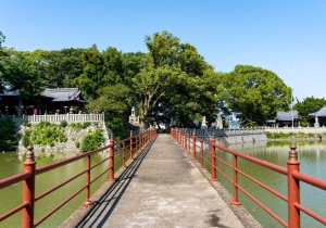SBJ06119