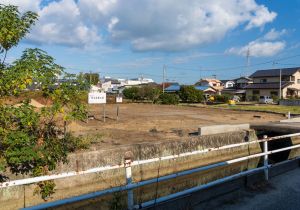 SBJ00748