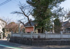 SBJ00902