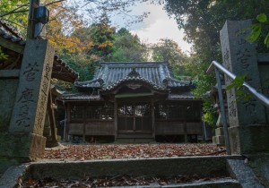 SBJ02101