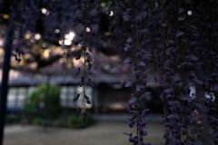 DSC09805