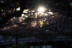 DSC09807